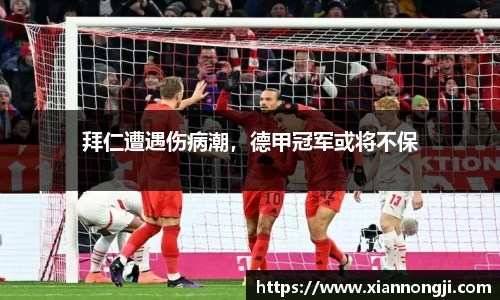 bsports登录入口
