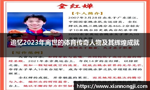 bsports官网入口