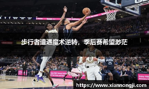 bsports官网入口