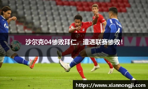 bsports登录入口
