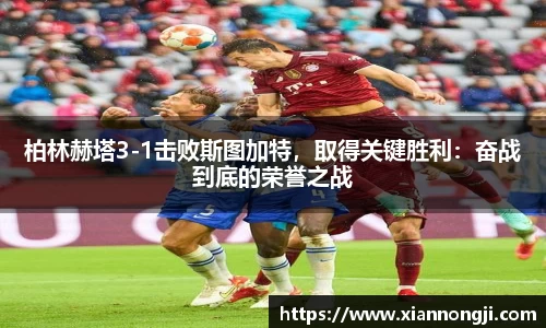 bsports官网入口