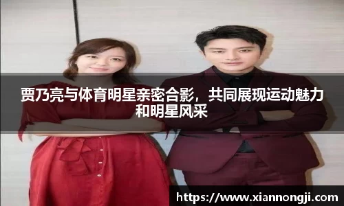 bsports登录入口