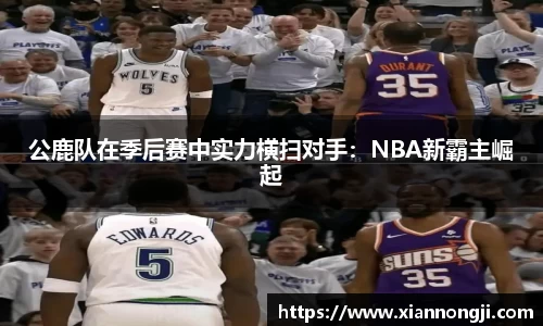 bsports登录入口