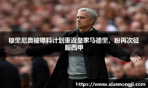 Bsports网页版