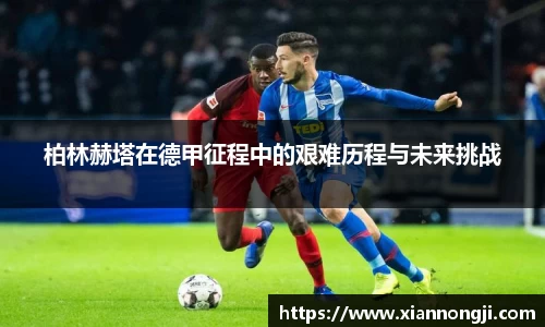 bsports登录入口