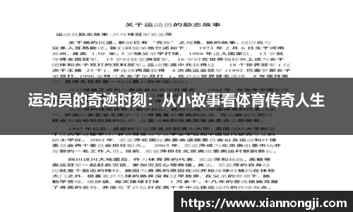 bsports登录入口