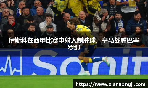 Bsports网页版