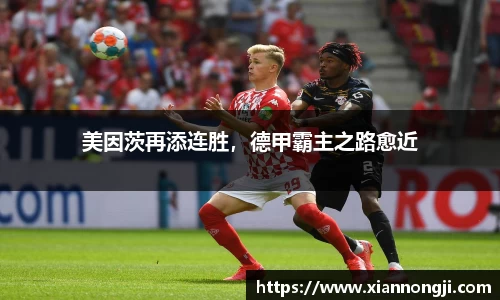 bsports登录入口
