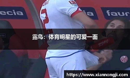 Bsports网页版