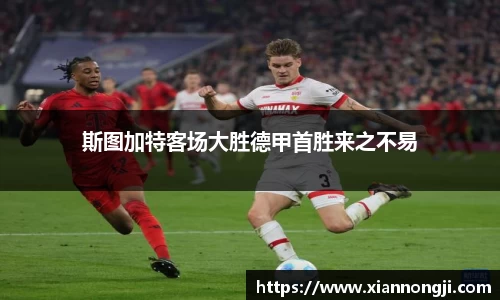 bsports官网入口