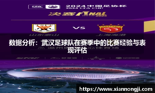 bsports官网入口