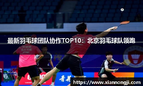 bsports登录入口