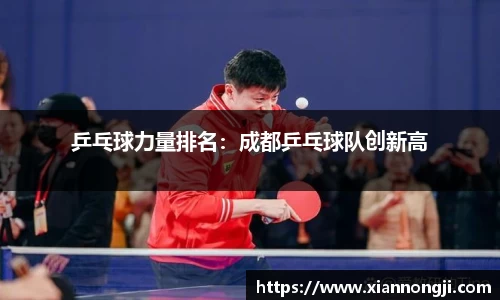 bsports登录入口