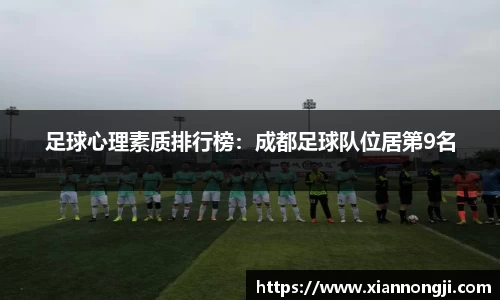 bsports官网入口