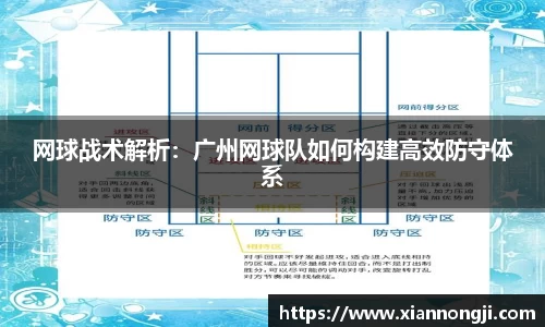 bsports官网入口