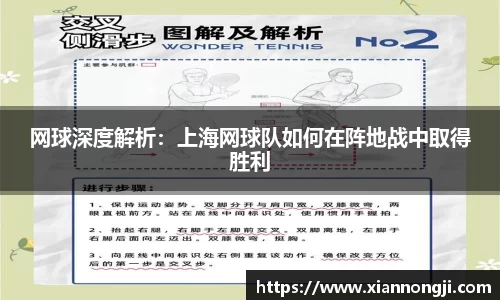 bsports登录入口