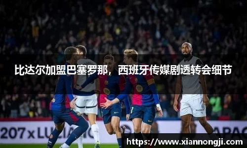 Bsports网页版