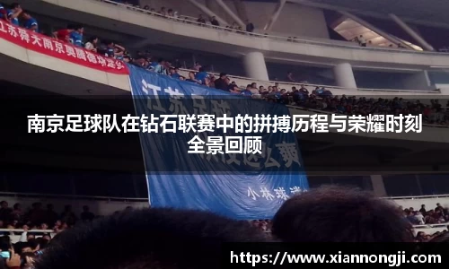 bsports登录入口
