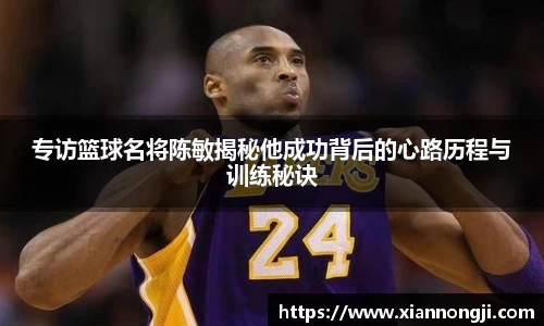 bsports登录入口