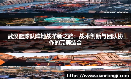 bsports登录入口