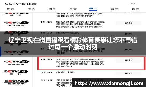 bsports官网入口