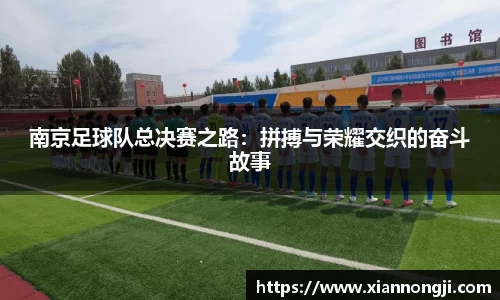 bsports登录入口
