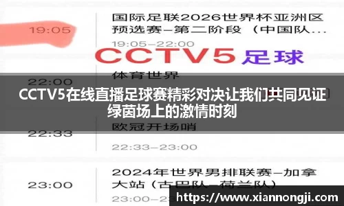 bsports登录入口