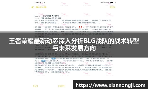 bsports登录入口