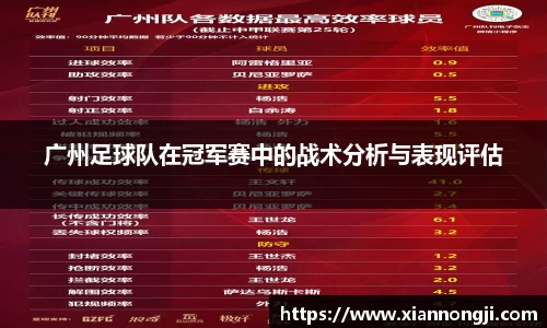 Bsports网页版