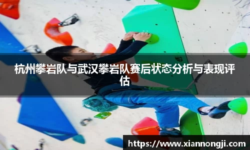 bsports登录入口