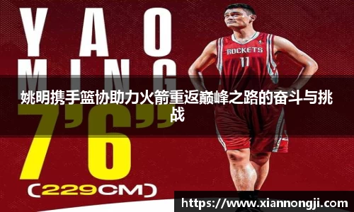 bsports官网入口