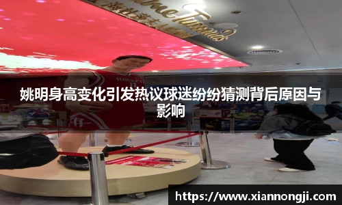 Bsports网页版