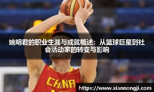 bsports登录入口