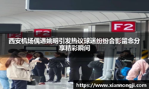 Bsports网页版