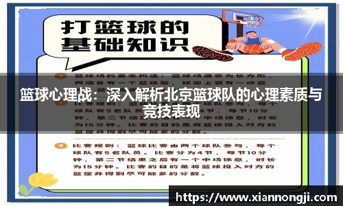 bsports登录入口