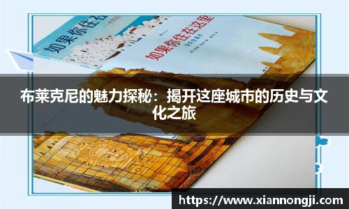 bsports登录入口