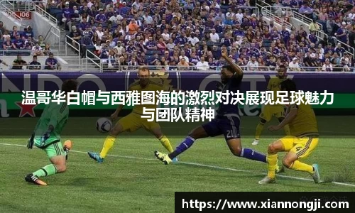 bsports登录入口