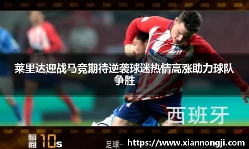 bsports登录入口
