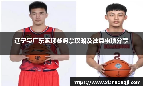 bsports官网入口