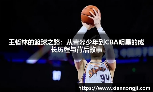bsports登录入口