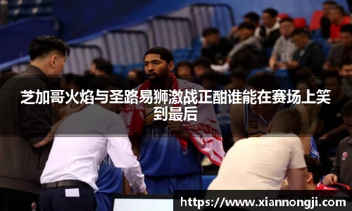 bsports登录入口