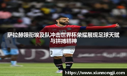 bsports官网入口