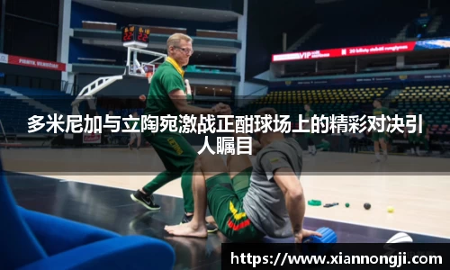 bsports官网入口