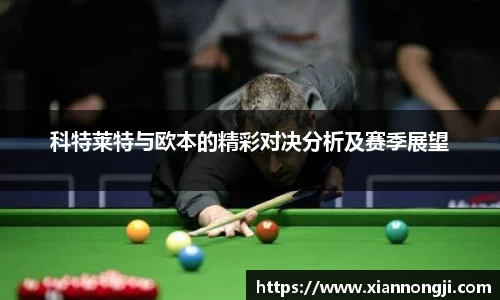 bsports登录入口