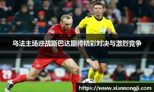 Bsports网页版
