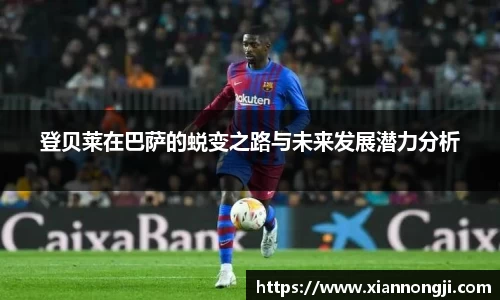 bsports官网入口