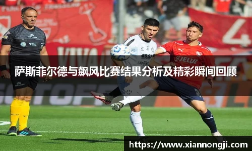bsports登录入口