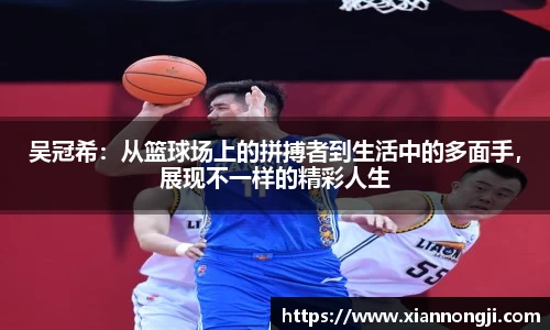 bsports官网入口