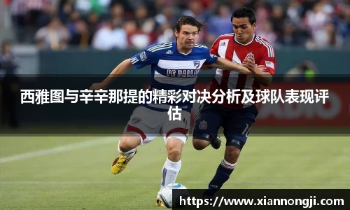 bsports登录入口