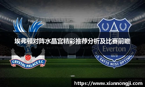 bsports官网入口